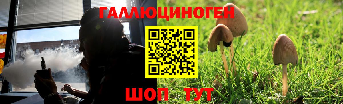 Псилоцибиновые грибы Psilocybe Красноперекопск